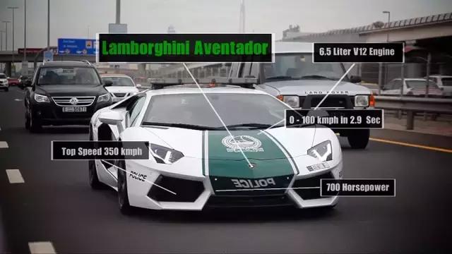 迪拜十大奇闻异事,迪拜不可思议十大发现