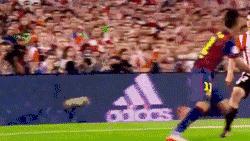 卡瓦尼vs卢卡库,卡瓦尼vs大巴黎直播