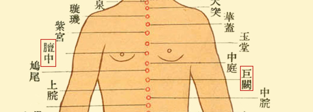 字里藏医全文及解释,字里藏医中医知识
