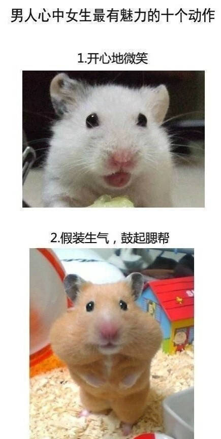 男子买错机票班次改签,男子误抢特价机票后退票