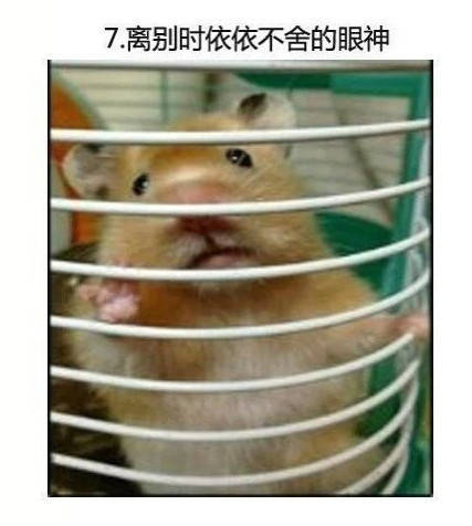 男子买错机票班次改签,男子误抢特价机票后退票