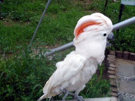 沈阳鸟岛视频,沈阳都有啥桥