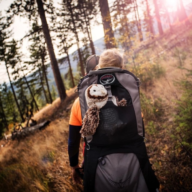 双肩包分享有质感皮,双肩包分析