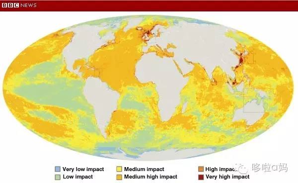 全家一起补营养,全家补充维生素吃哪种实惠