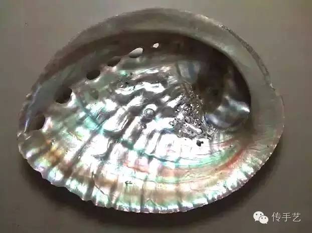 把贝壳焯水，去皮，切片，然后变魔术螺钿工艺（附制作工艺）