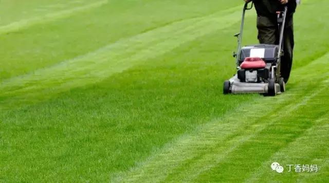 千金小姐做普通男生的保姆,国外富家千金小姐每天都干什么