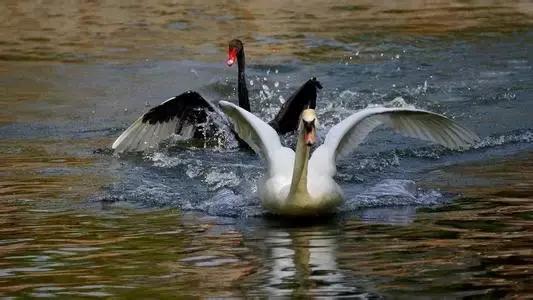 微信小程序都靠谱吗,微信小程序还有市场吗