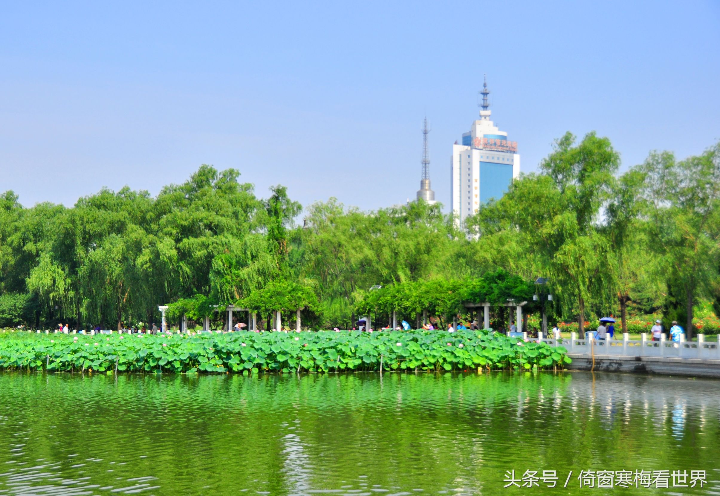 以莲花为名的景点,北京莲花池公园里有莲花亭吗