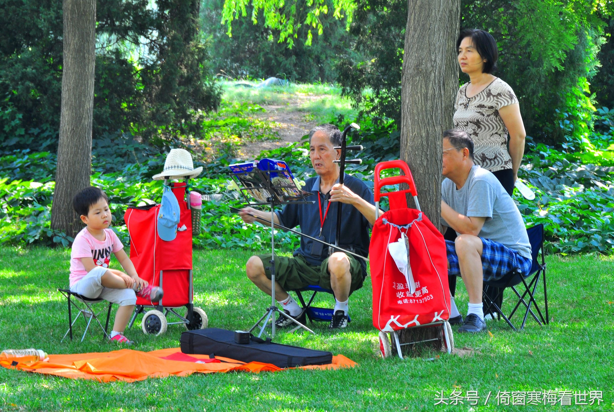 以莲花为名的景点,北京莲花池公园里有莲花亭吗