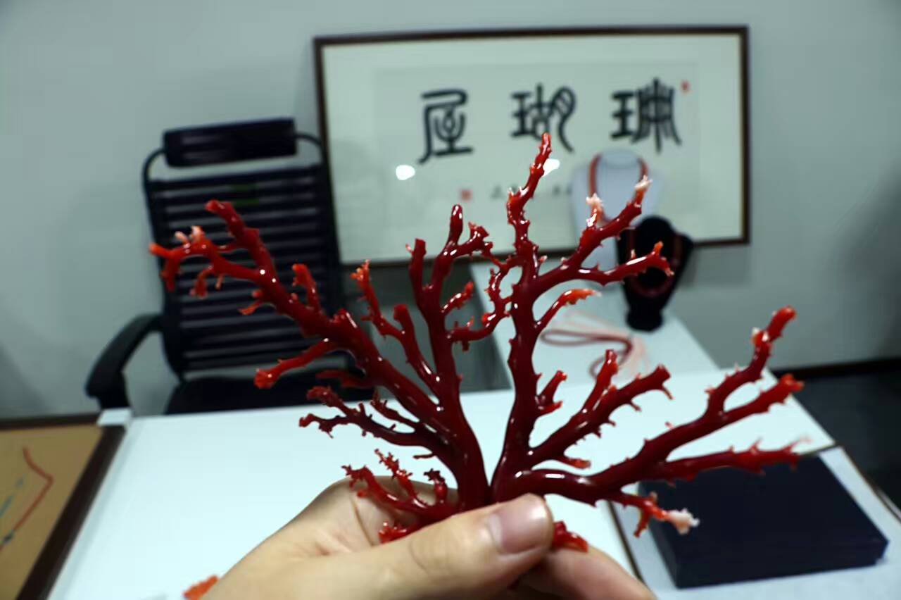 台湾的红珊瑚怎么样,台湾红珊瑚哪里的好