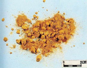 清热解毒杀虫止痒的中药有哪些,清热解毒的中药会使血压升高吗