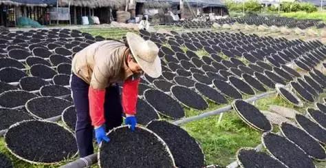 11大商场45家好吃餐厅,上海各大商场觅食指南,逛到哪吃到哪