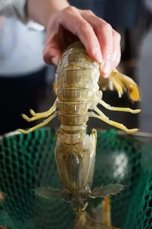 11大商场45家好吃餐厅,上海各大商场觅食指南,逛到哪吃到哪