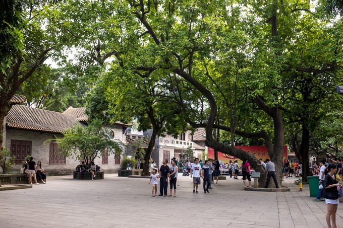 论一个吃货的自我修养小说,论一个吃货的自我修养