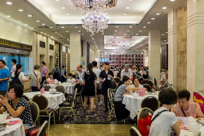 论一个吃货的自我修养小说,论一个吃货的自我修养