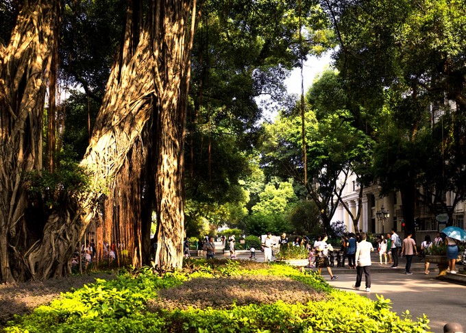 论一个吃货的自我修养小说,论一个吃货的自我修养