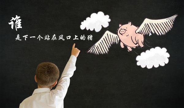 猪站在风口但飞不起来,猪都能飞站在风口上