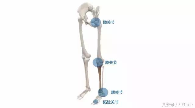 粗小腿怎么变细,粗小腿改善