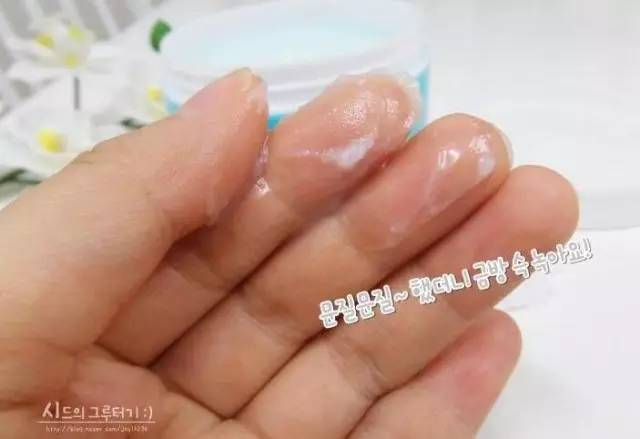 大白菜的高端牌子,口碑最好的大白菜有哪些品种