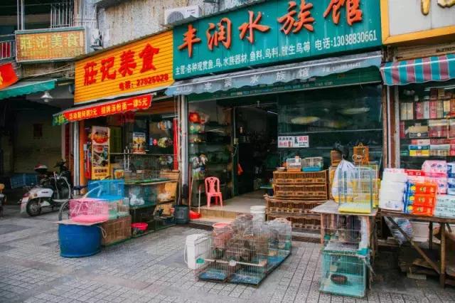 西乡县各乡镇的故事,西乡有什么故事