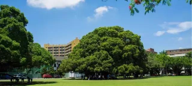 台南必吃的12道美食,台南美食哪里最好吃