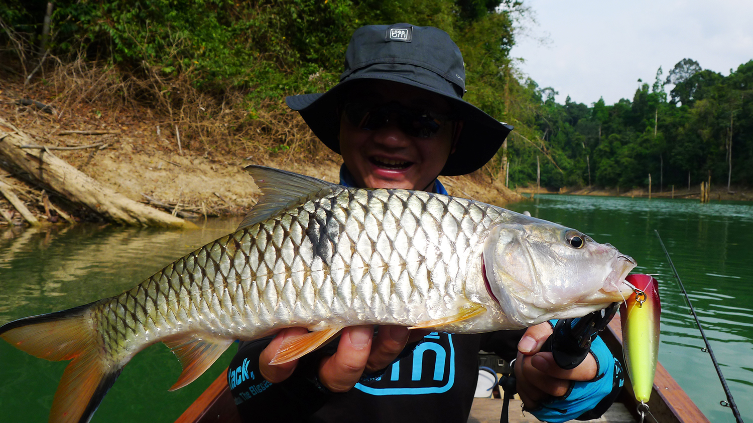 钓鱼就是享受不同种类的鱼,不一样的食肉鱼