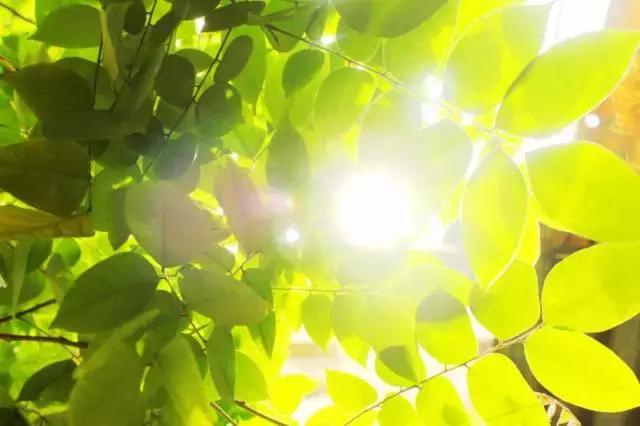 身体不晒太阳，就像是“吸尘器”