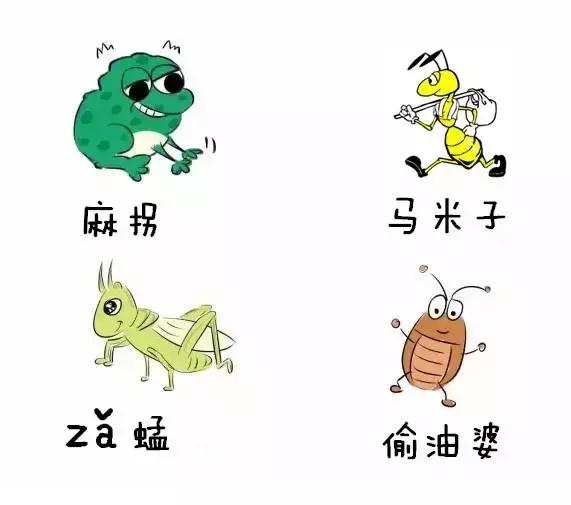 你是不是正宗郴州人？一句话就可以证明！