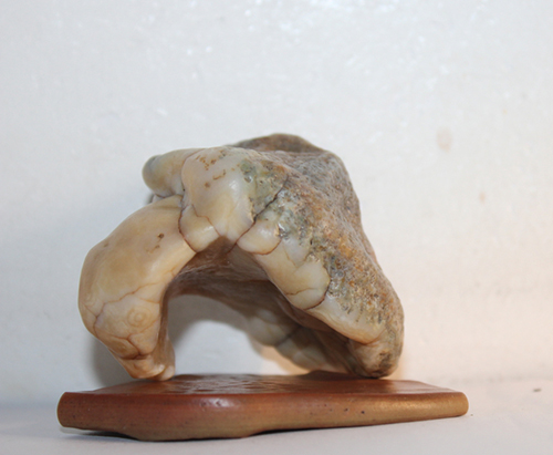 珍馐佳肴饕餮宴,珍馐佳肴宴宾朋