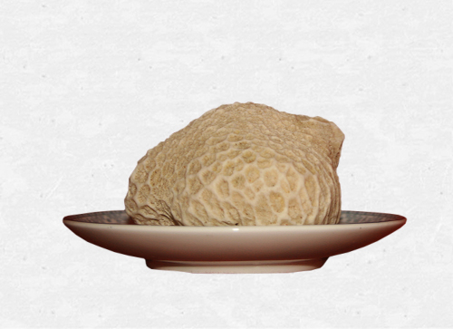 珍馐佳肴饕餮宴,珍馐佳肴宴宾朋