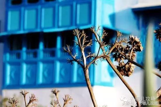 突尼斯对中国人免签最新消息,突尼斯对中国游客免签新华社