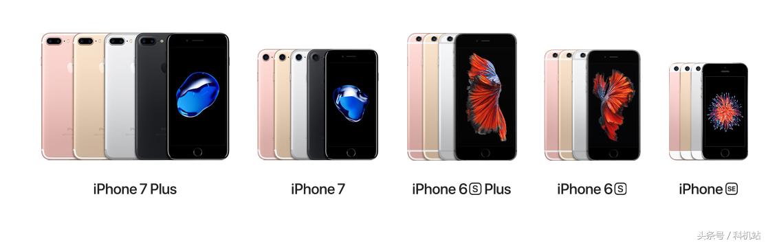 目前官方还在售卖的苹果机型,最具性价比的五款iphone手机