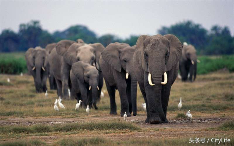 泰国芭堤雅东芭乐园,泰国芭提雅东芭公园