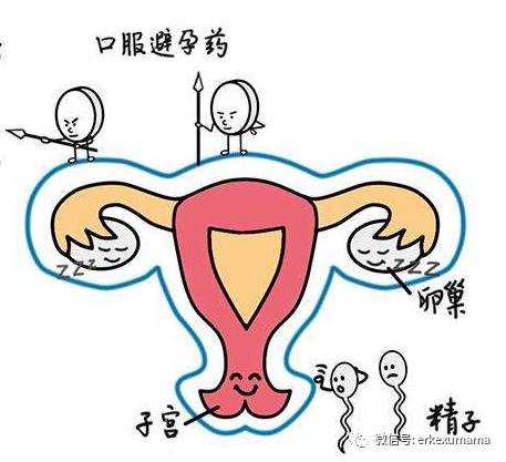 课堂笔记：哺乳期避孕，那些方法不伤害你和宝宝！