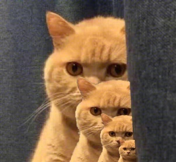 服了!路虎司机嫌春节吃太多为减肥辟谷5天,饿晕后撞车!