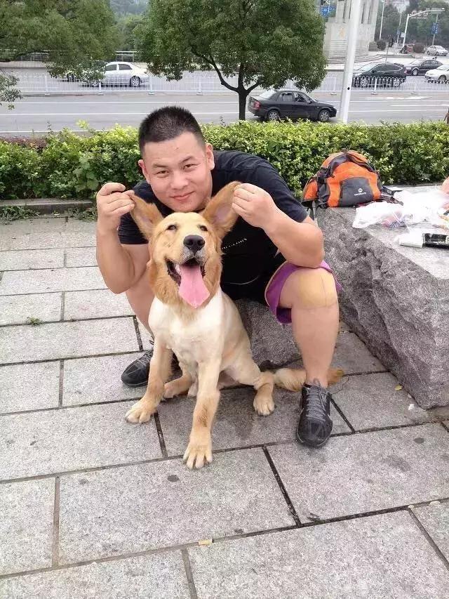 长沙宠物蜥蜴品种有哪些,别人家养的宠物蜥蜴食肉动物