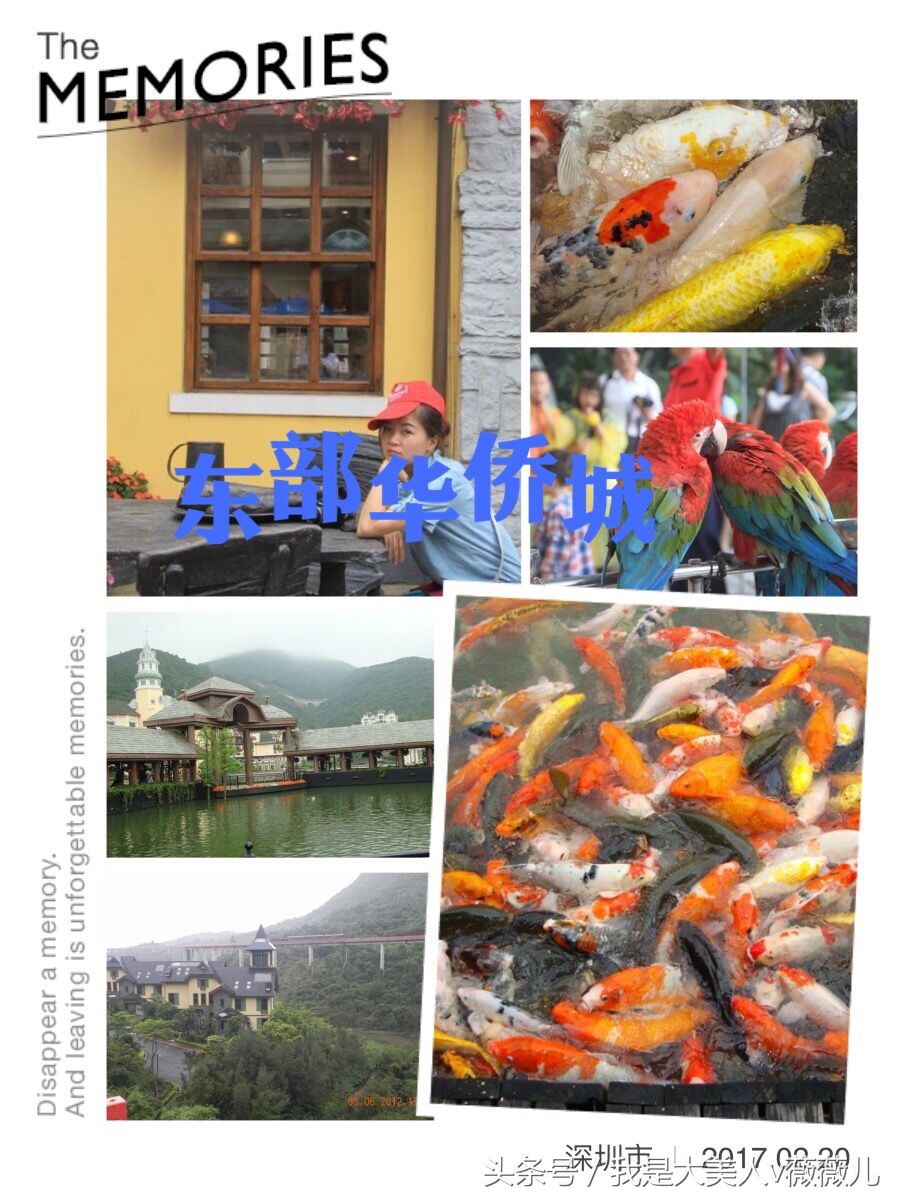 白浅姑姑全部视频,白浅姑姑霸气回归全集