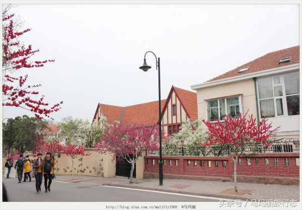 红瓦绿树的青岛八大关，这才是鲜明的青岛色彩