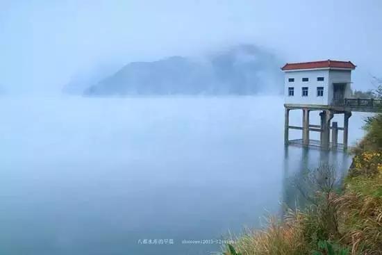 义乌这下要在全世界出名了！