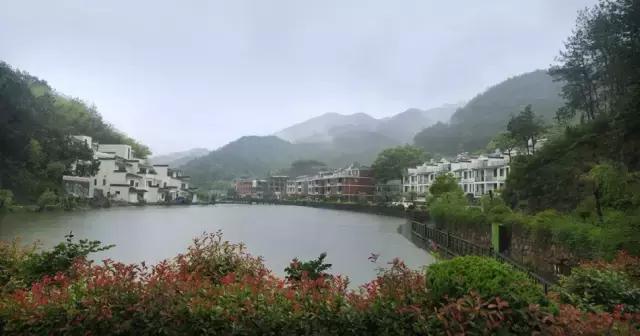 义乌这下要在全世界出名了！