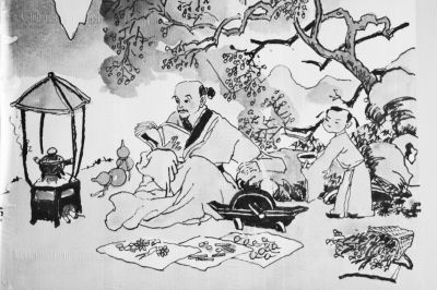 橘井泉香和杏林的区别,杏林和橘井是什么意思