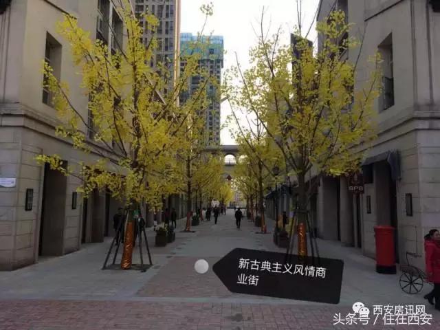 大寨路小区最好的房源,大寨路附近的楼盘