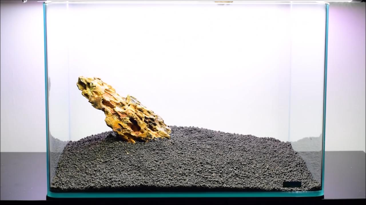 水草造景艺术从入门到精通pdf,初学水草造景教程