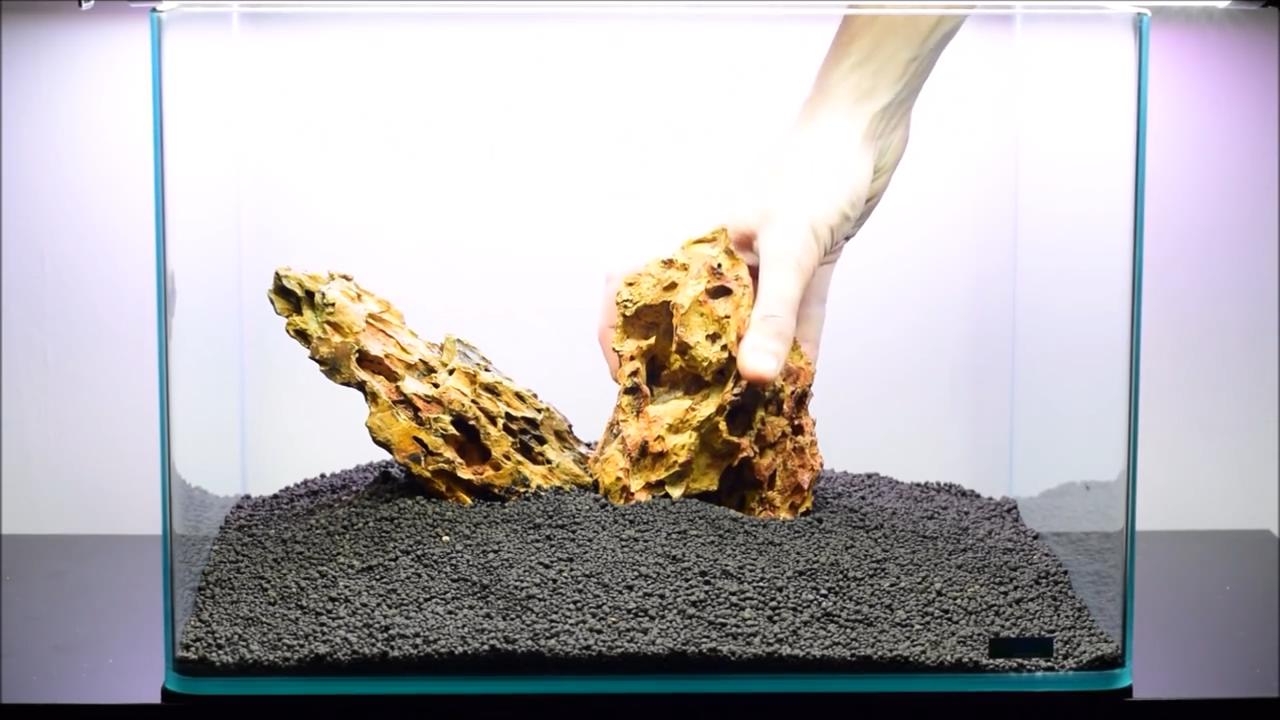 水草造景艺术从入门到精通pdf,初学水草造景教程