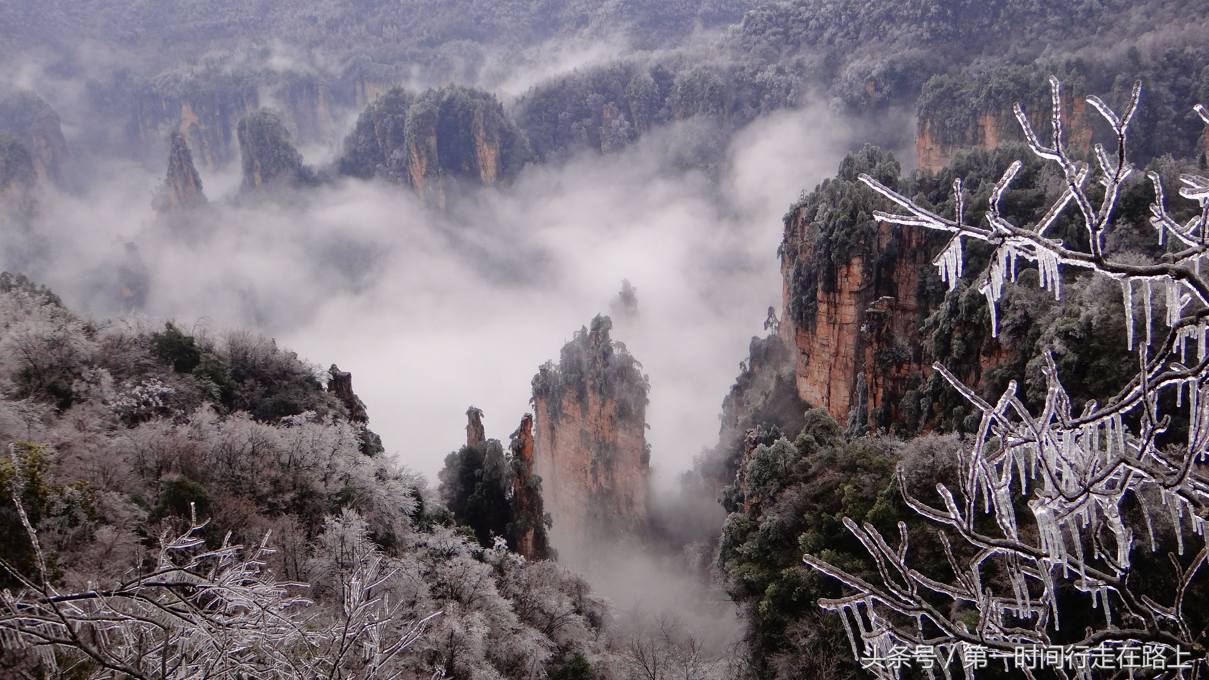 张家界浪漫之地,张家界最浪漫的婚纱