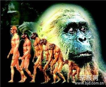 人类作为哺乳动物,为什么只有哺乳动物有体毛