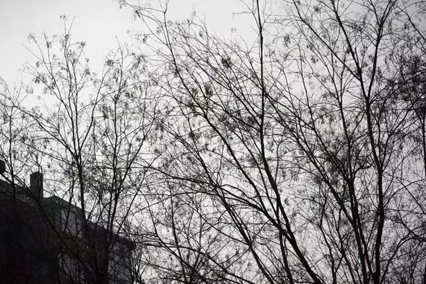 腾龙70-200mmf2.8效果,腾龙sp70-200mmf2.8g2