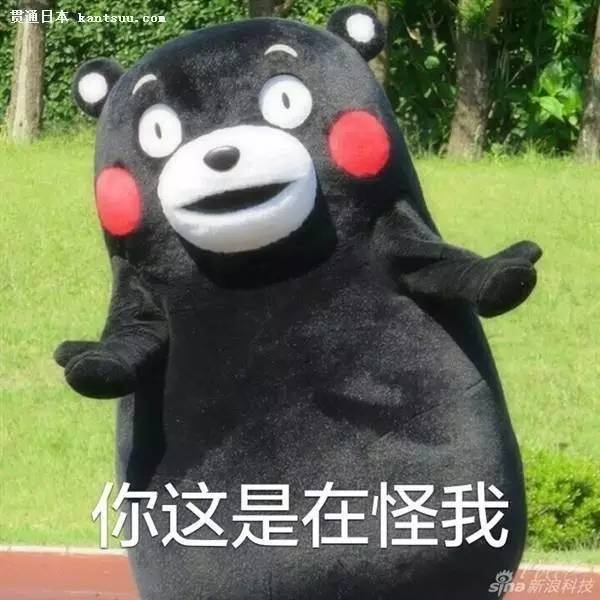 凭什么我要忍说说,你以为四海之内皆你妈谁都惯着你