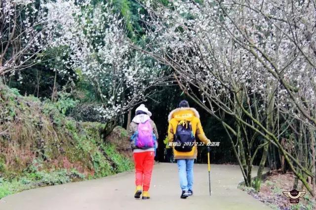 军哥户外,军哥徒步去西藏