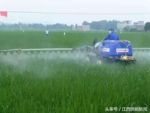 江西地区托管,江西农业园区托管